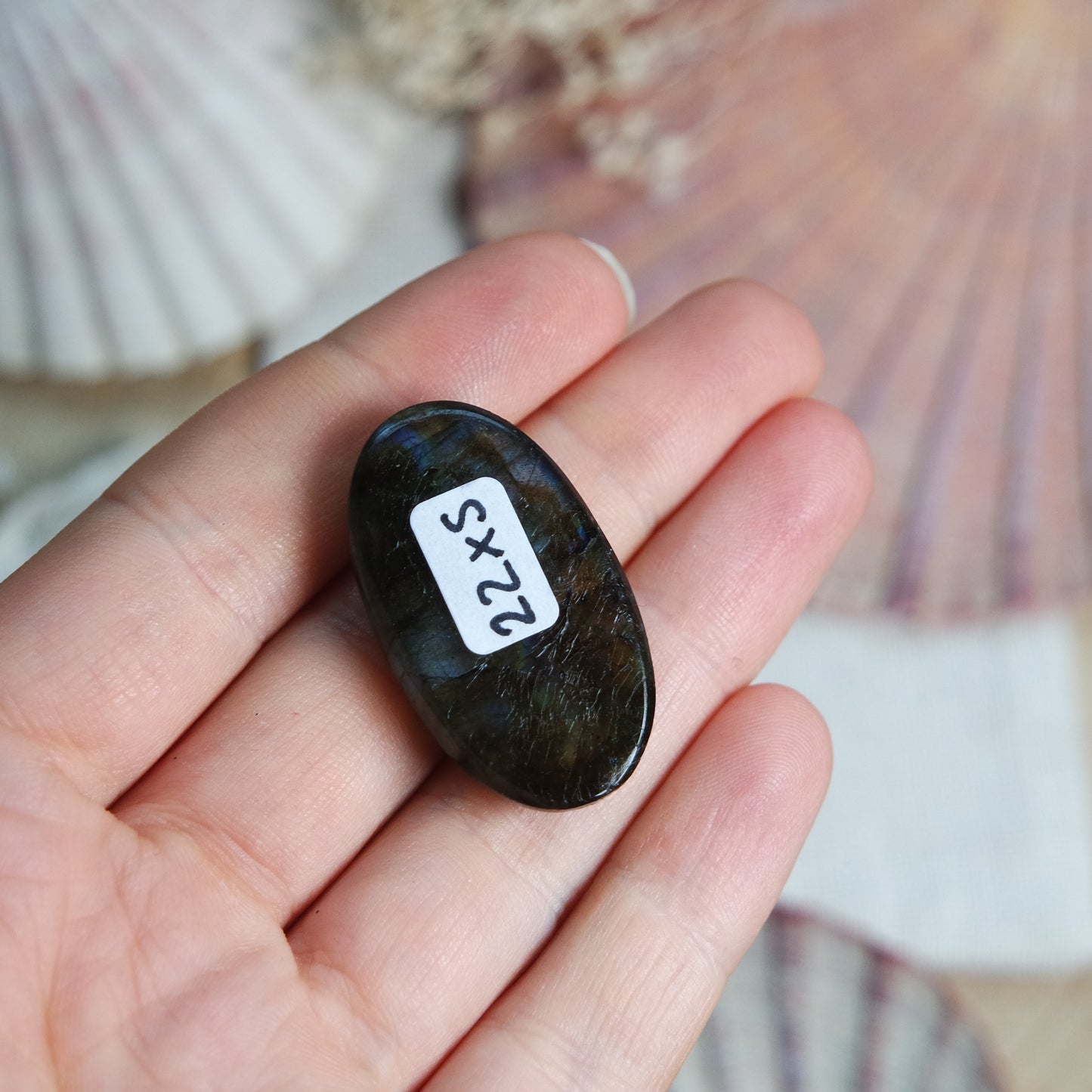 Labradorit Cabochon ~ 22XS