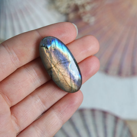 Labradorit Cabochon ~ 22XT