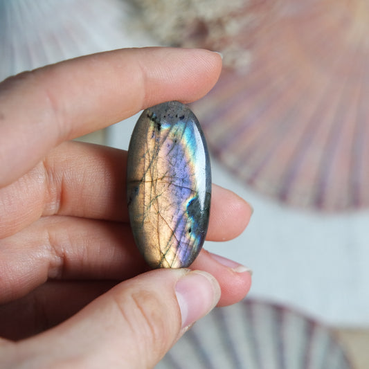 Labradorit Cabochon ~ 22XT