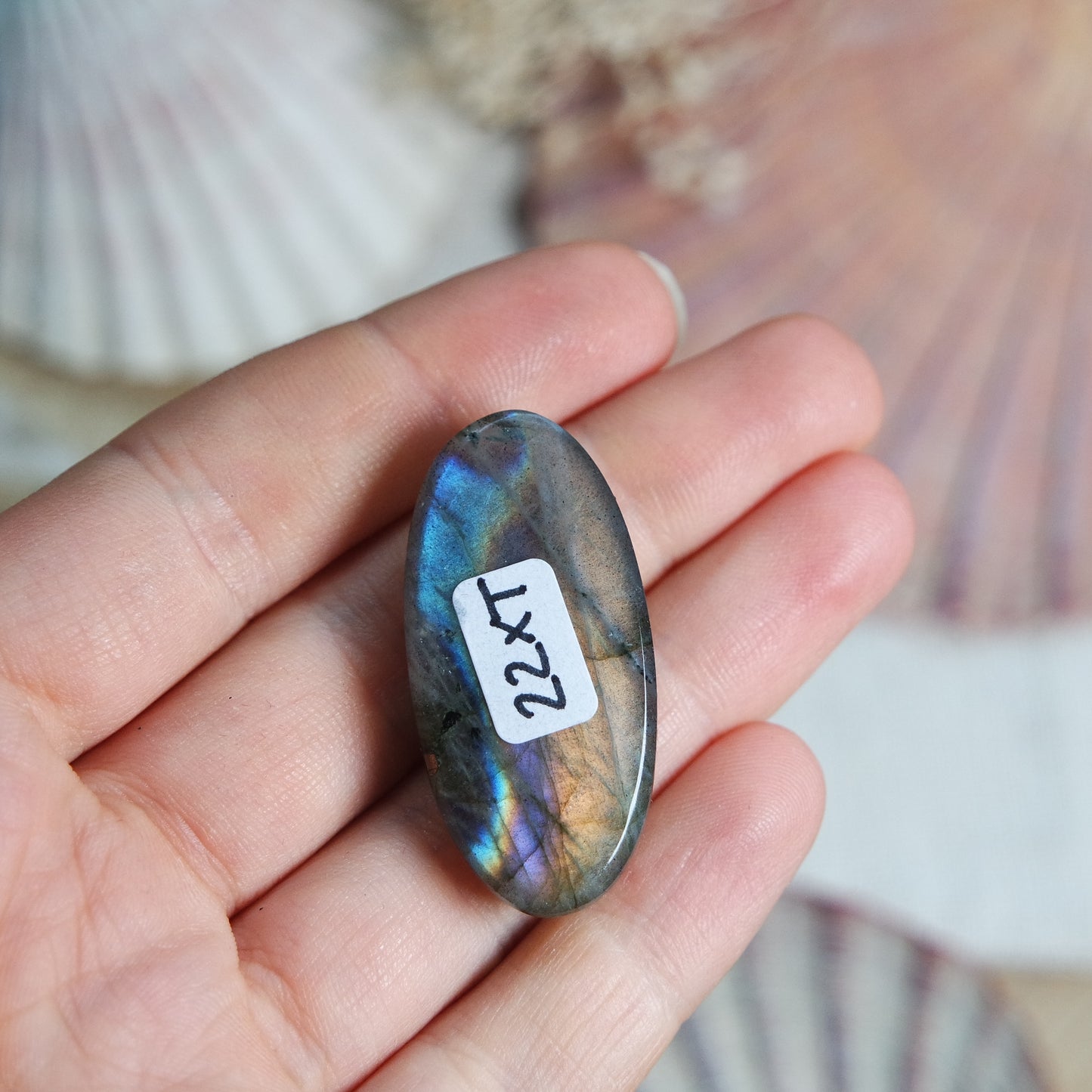 Labradorit Cabochon ~ 22XT