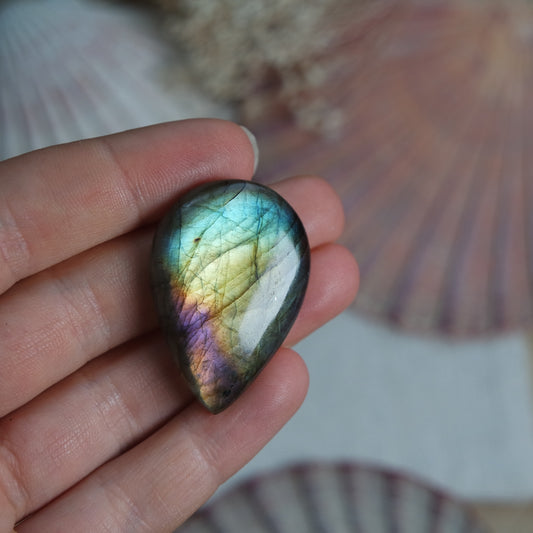 Labradorit Cabochon ~ 22XU