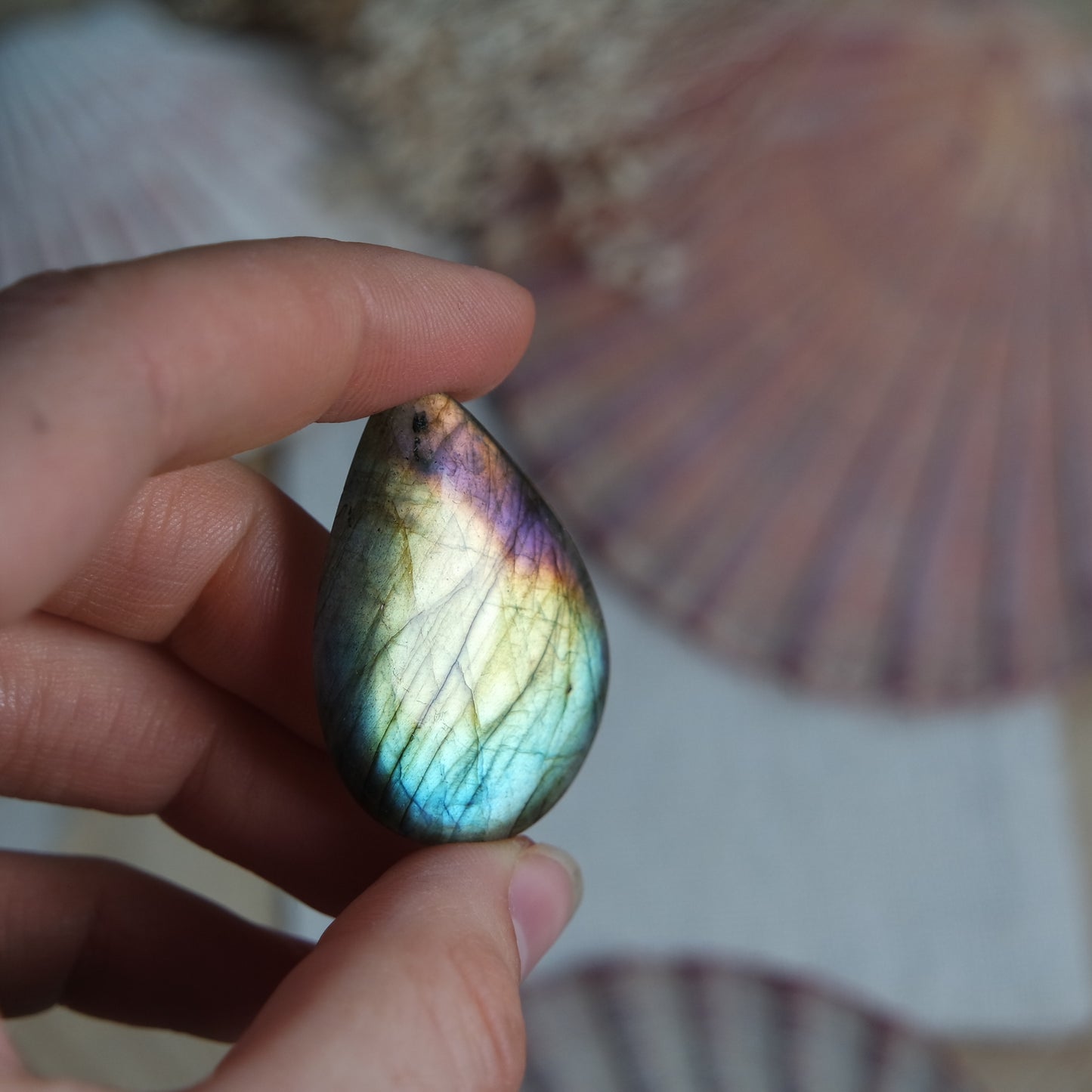 Labradorit Cabochon ~ 22XU