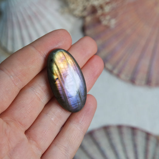 Labradorit Cabochon ~ 22XW