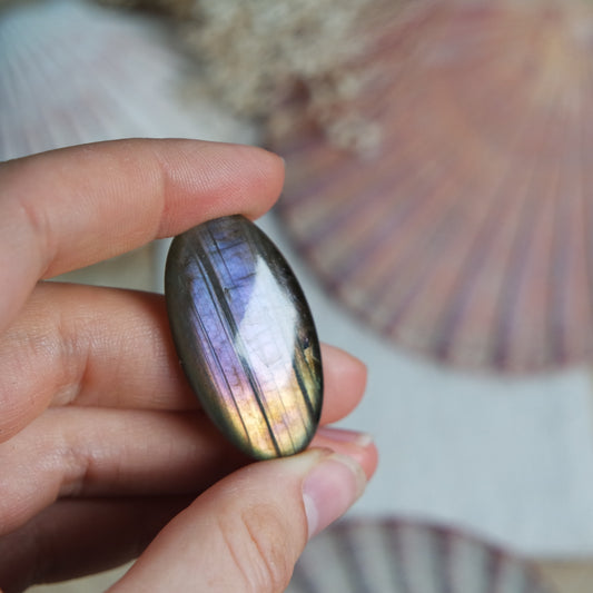 Labradorit Cabochon ~ 22XW