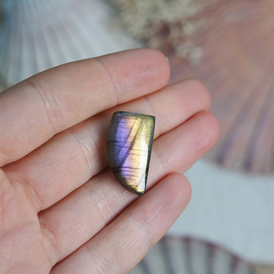 Labradorit Cabochon ~ 9XE