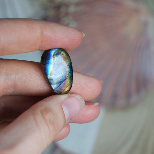 Labradorit Cabochon ~ 9XR