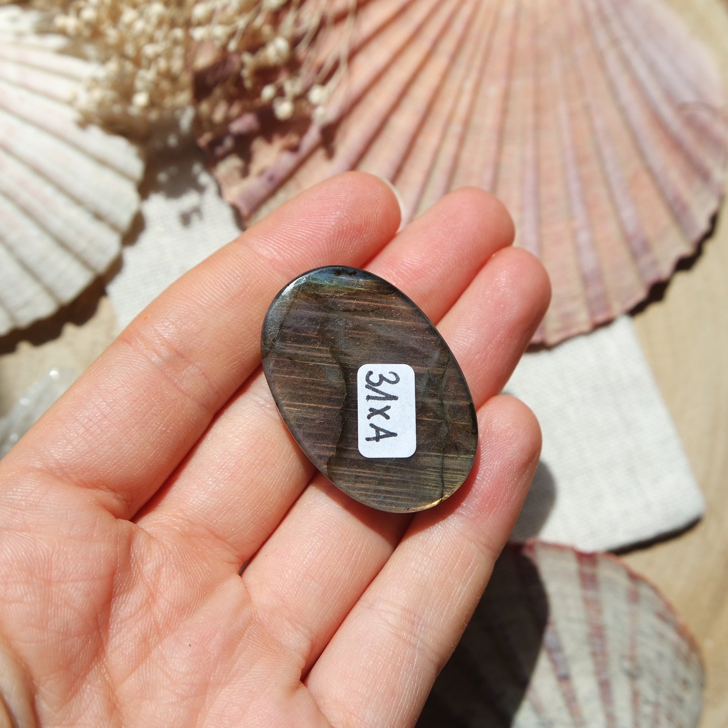Labradorit Cabochon ~ 31XA