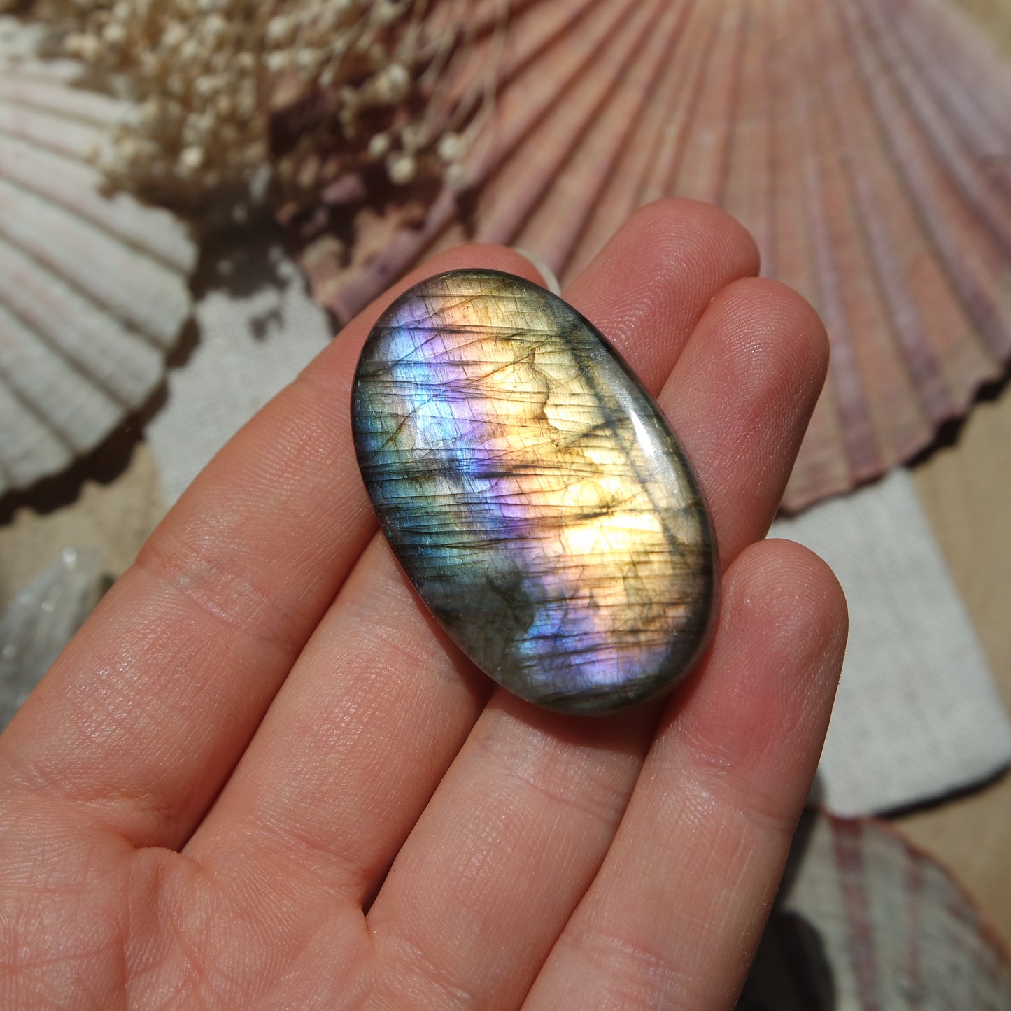 Labradorit Cabochon ~ 31XB