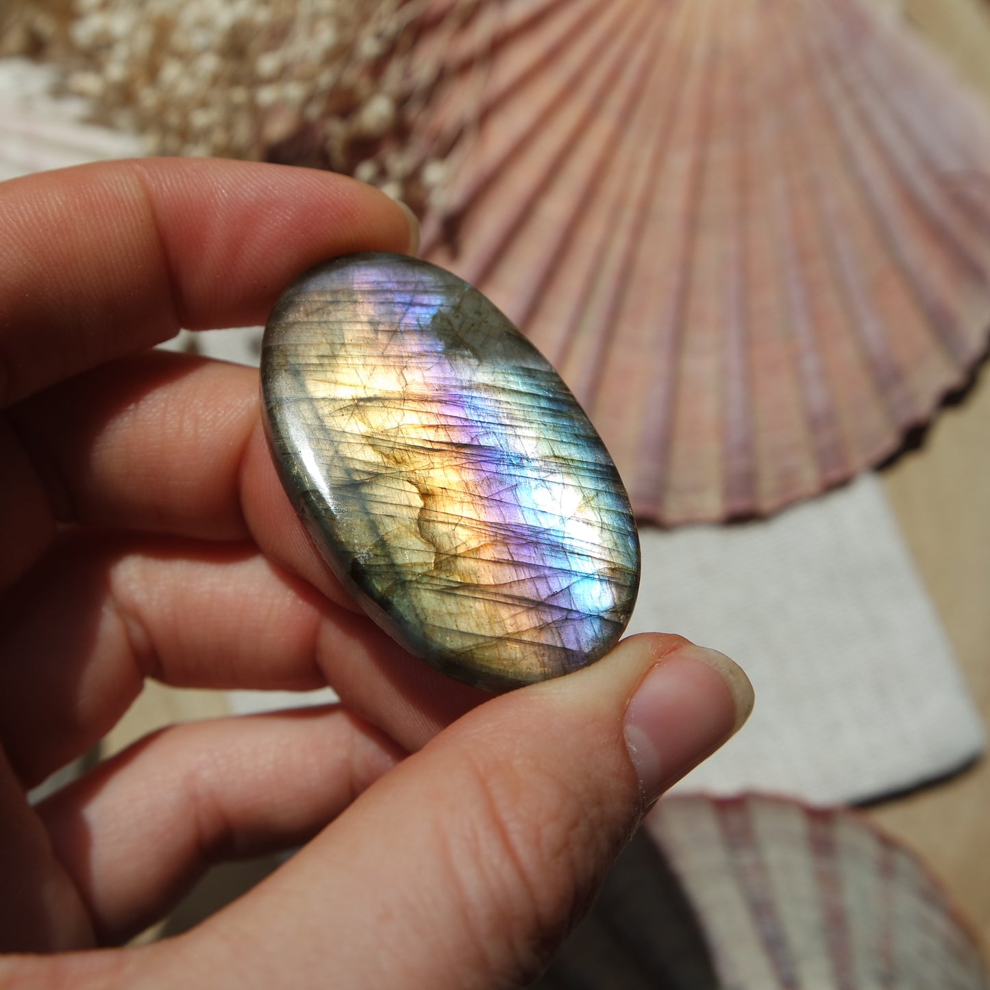 Labradorit Cabochon ~ 31XB