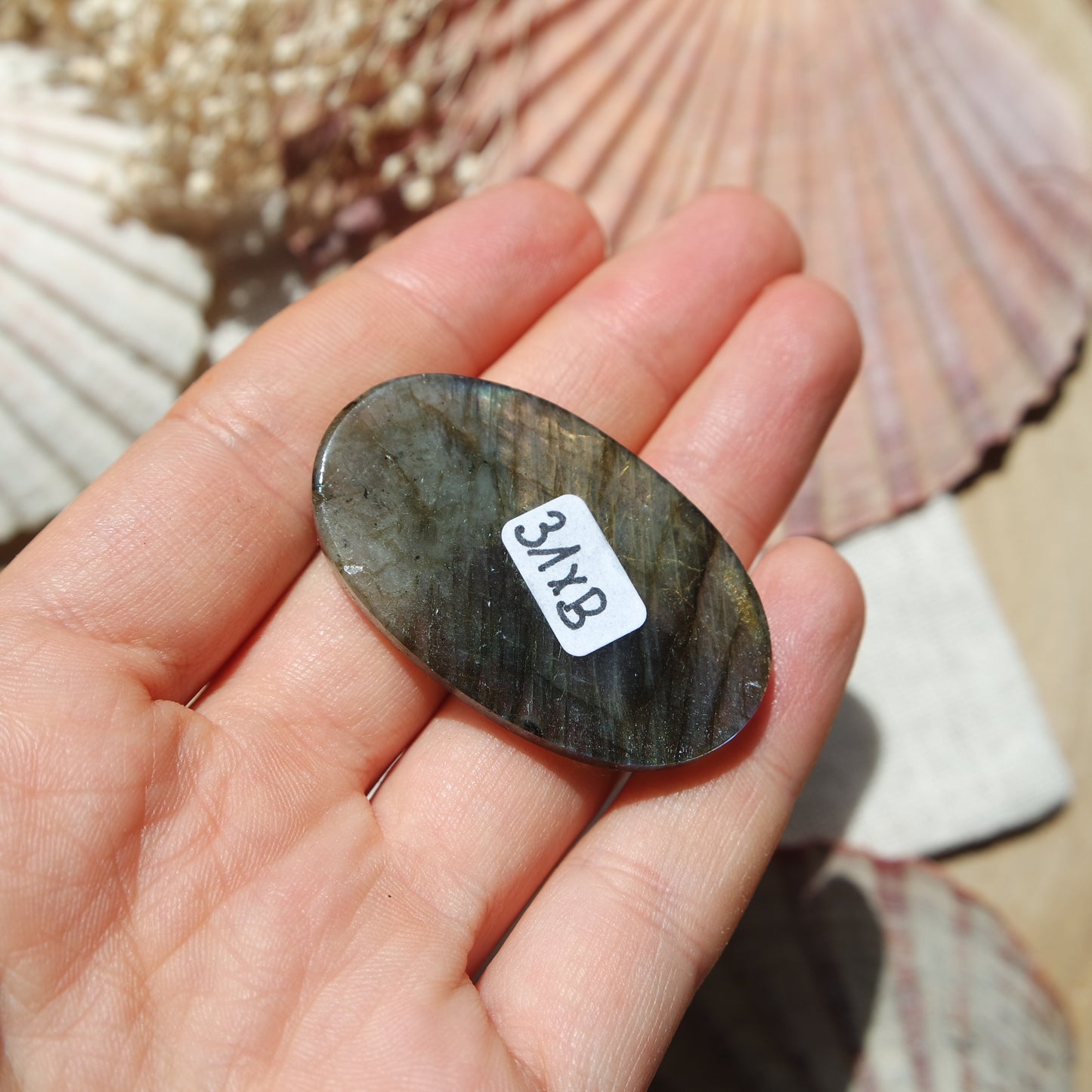 Labradorit Cabochon ~ 31XB