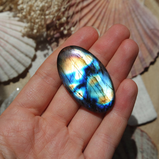 Labradorit Cabochon ~ 31XC