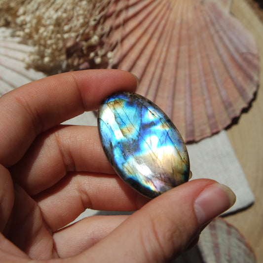 Labradorit Cabochon ~ 31XC