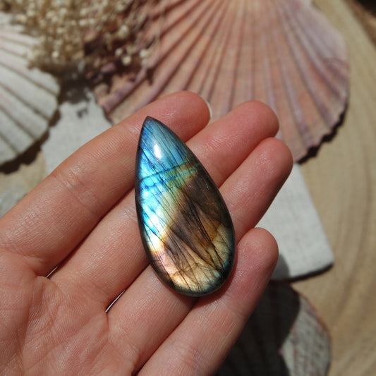 Labradorit Cabochon ~ 31Xj