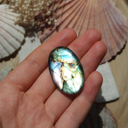 Labradorit Cabochon ~ 31XK