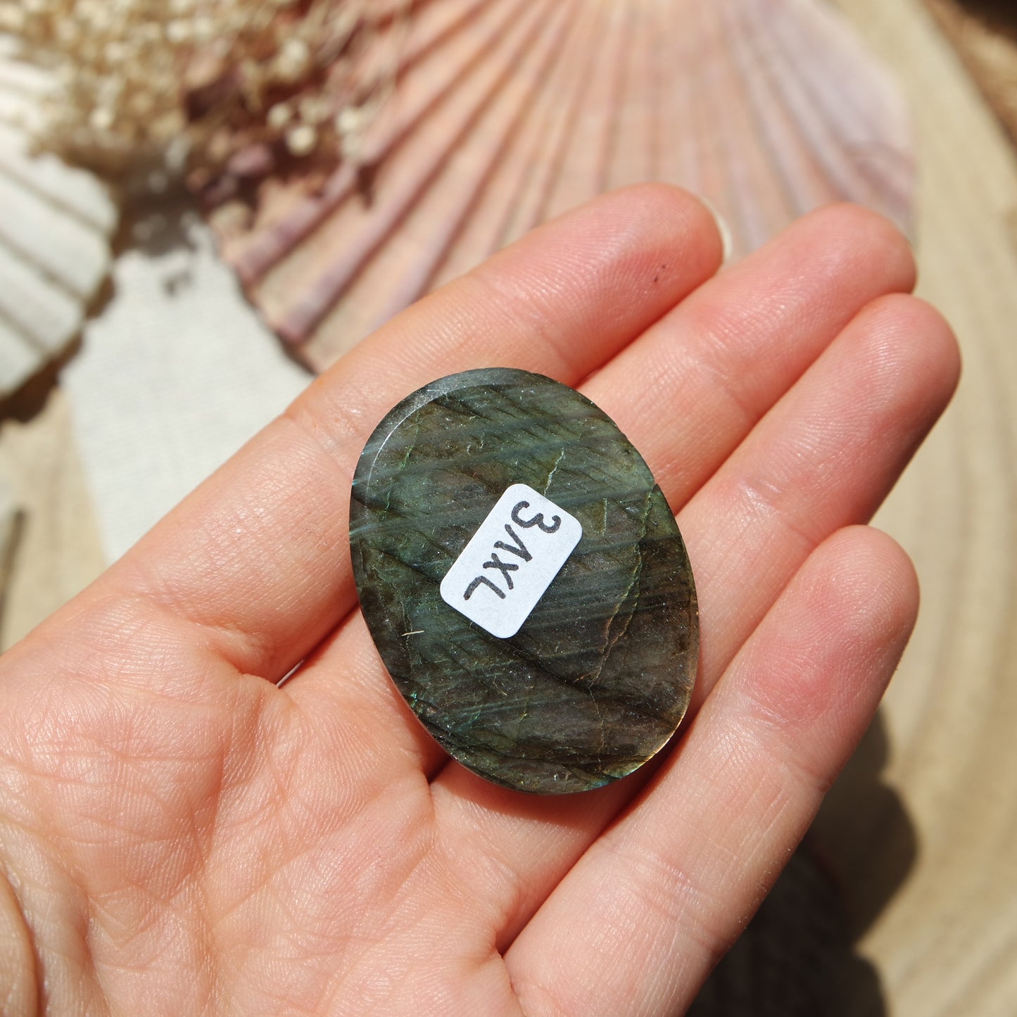 Labradorit Cabochon ~ 31XL