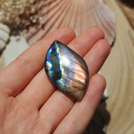 Labradorit Cabochon ~ 31XN