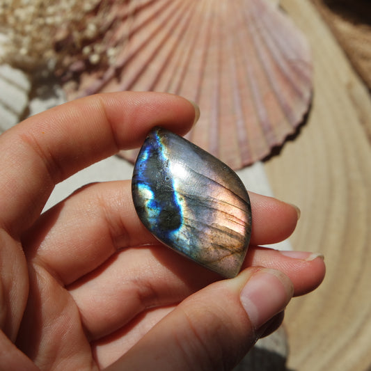 Labradorit Cabochon ~ 31XN