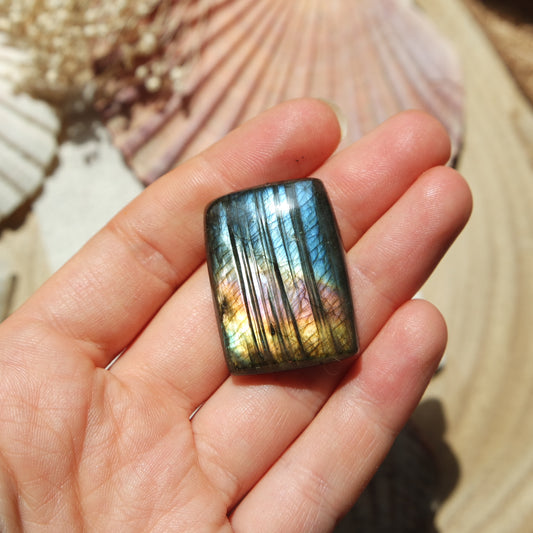 Labradorit Cabochon ~ 31XO