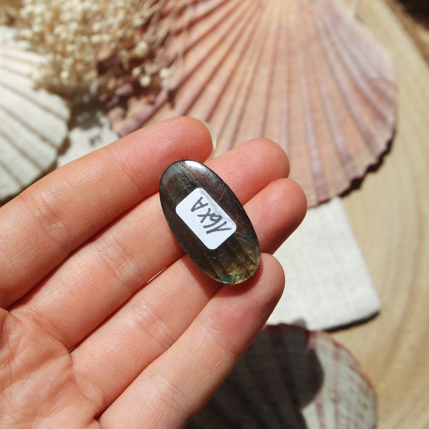 Labradorit Cabochon ~ 16XA