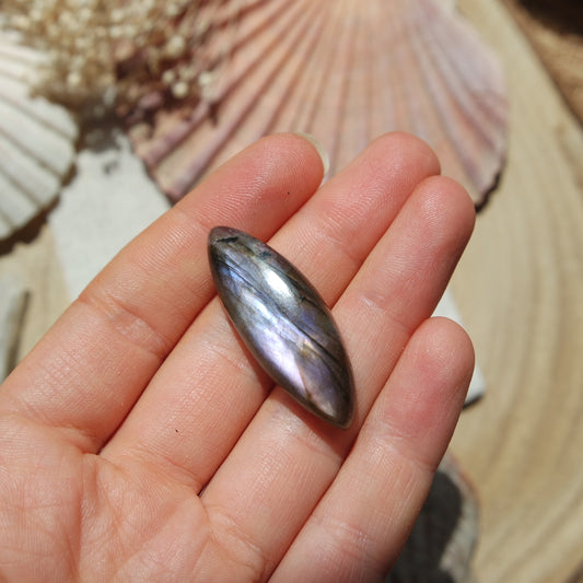 Labradorit Cabochon ~ 16XC