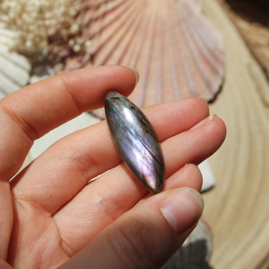 Labradorit Cabochon ~ 16XC