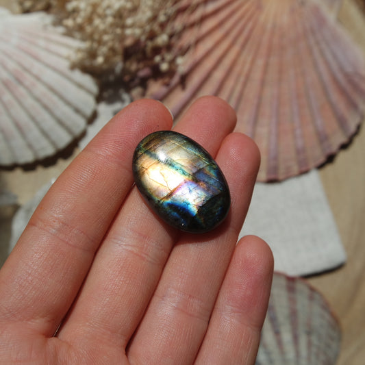 Labradorit Cabochon ~ 16XD