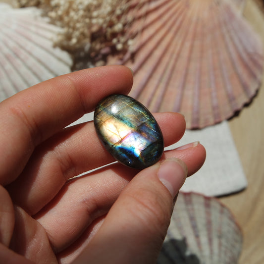 Labradorit Cabochon ~ 16XD