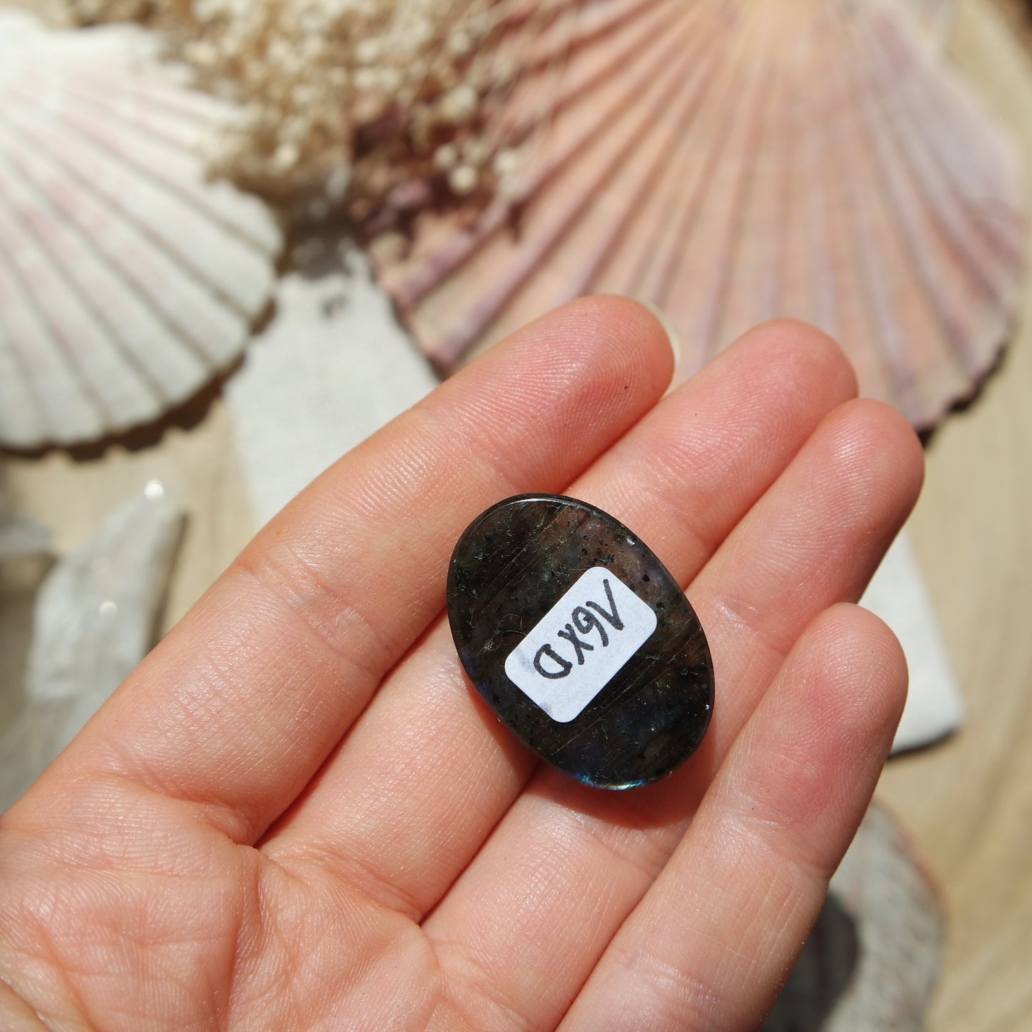 Labradorit Cabochon ~ 16XD