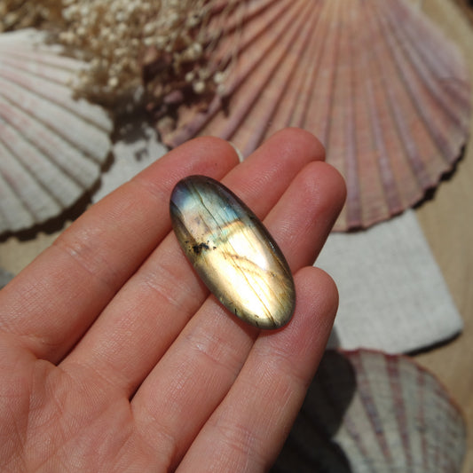 Labradorit Cabochon ~ 16XE