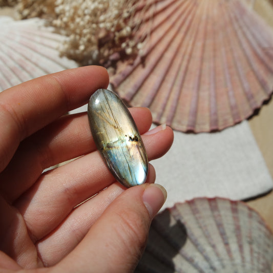 Labradorit Cabochon ~ 16XE