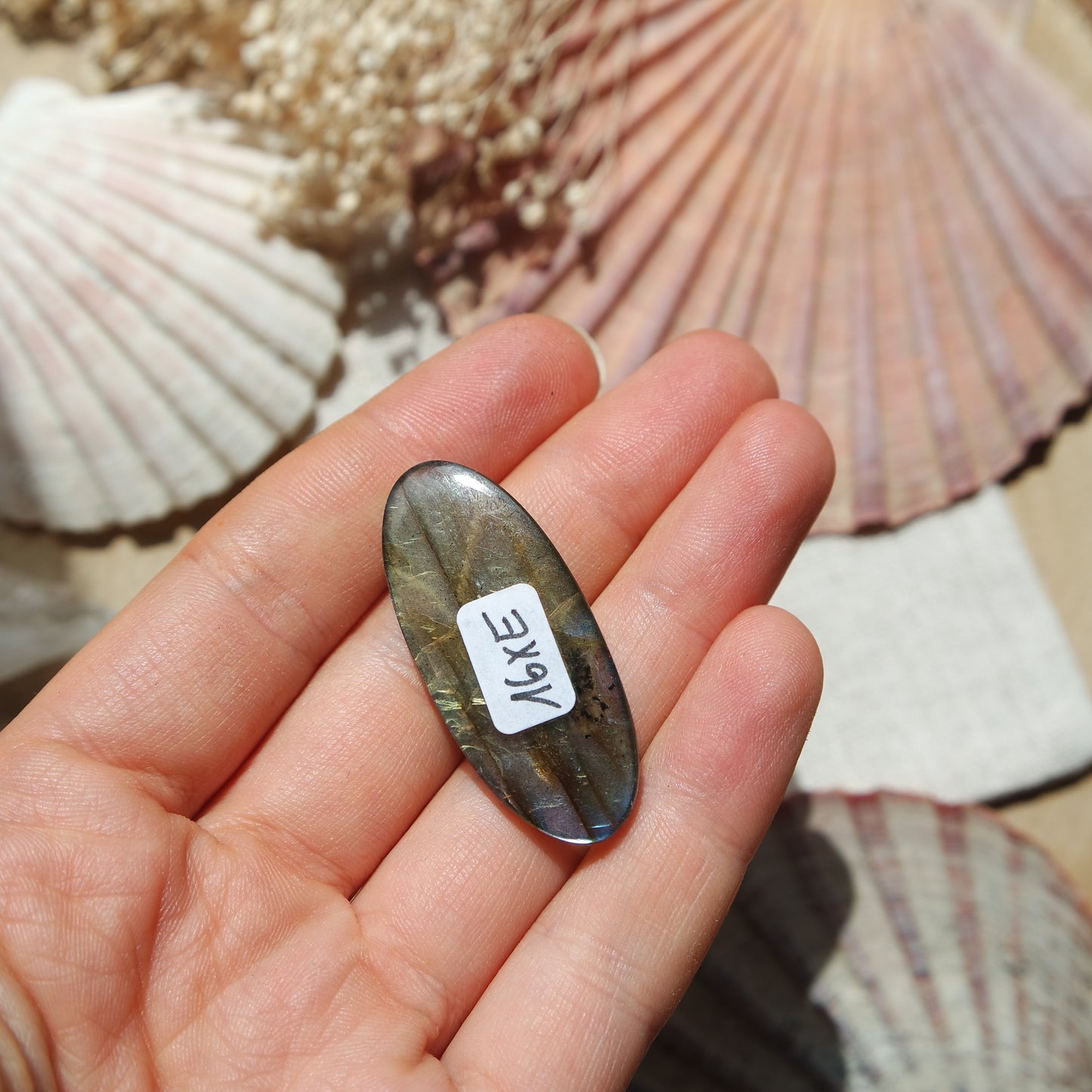 Labradorit Cabochon ~ 16XE