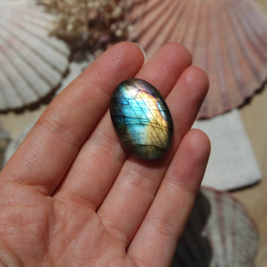 Labradorit Cabochon ~ 16XG