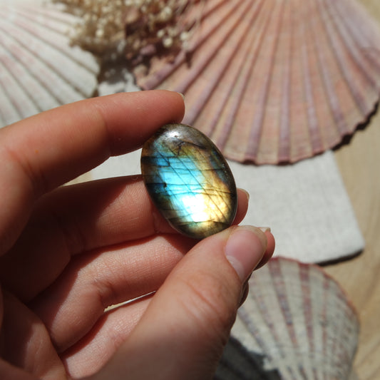 Labradorit Cabochon ~ 16XG