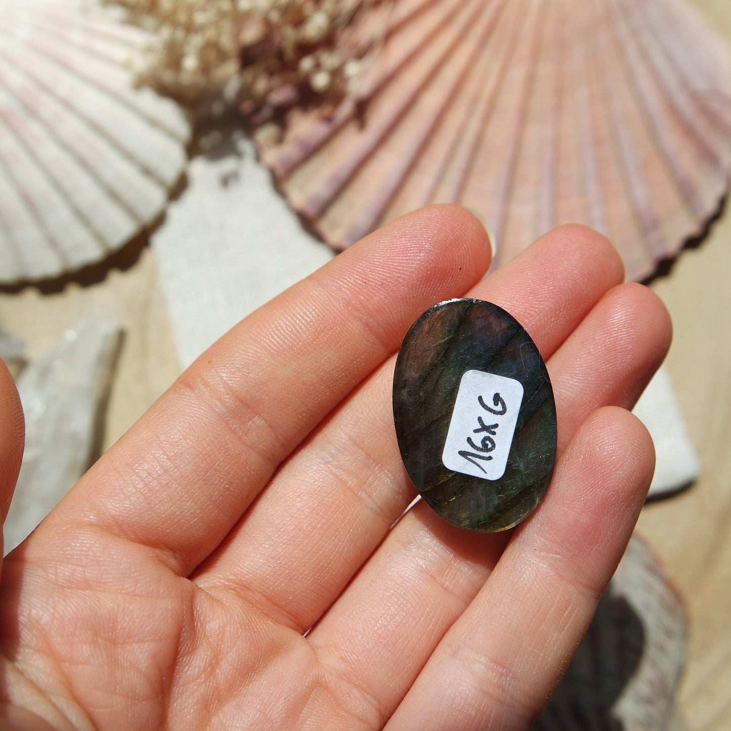 Labradorit Cabochon ~ 16XG