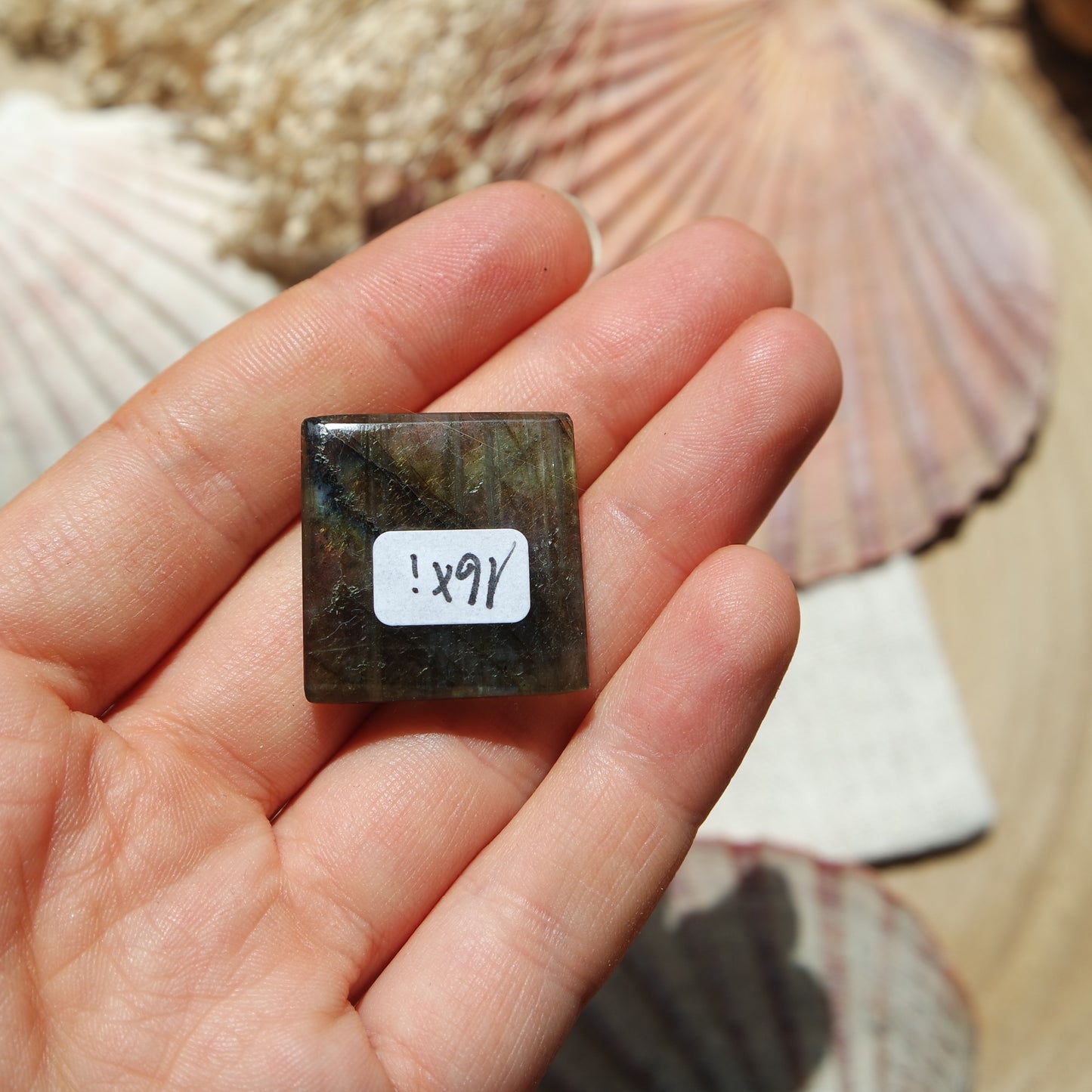Labradorit Cabochon ~ 16Xi