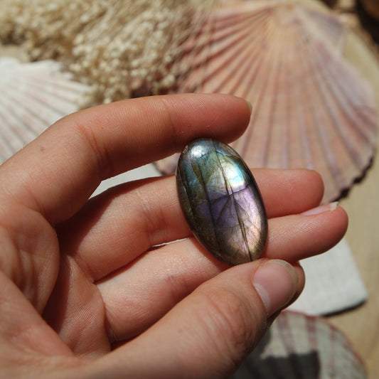 Labradorit Cabochon ~ 16Xj