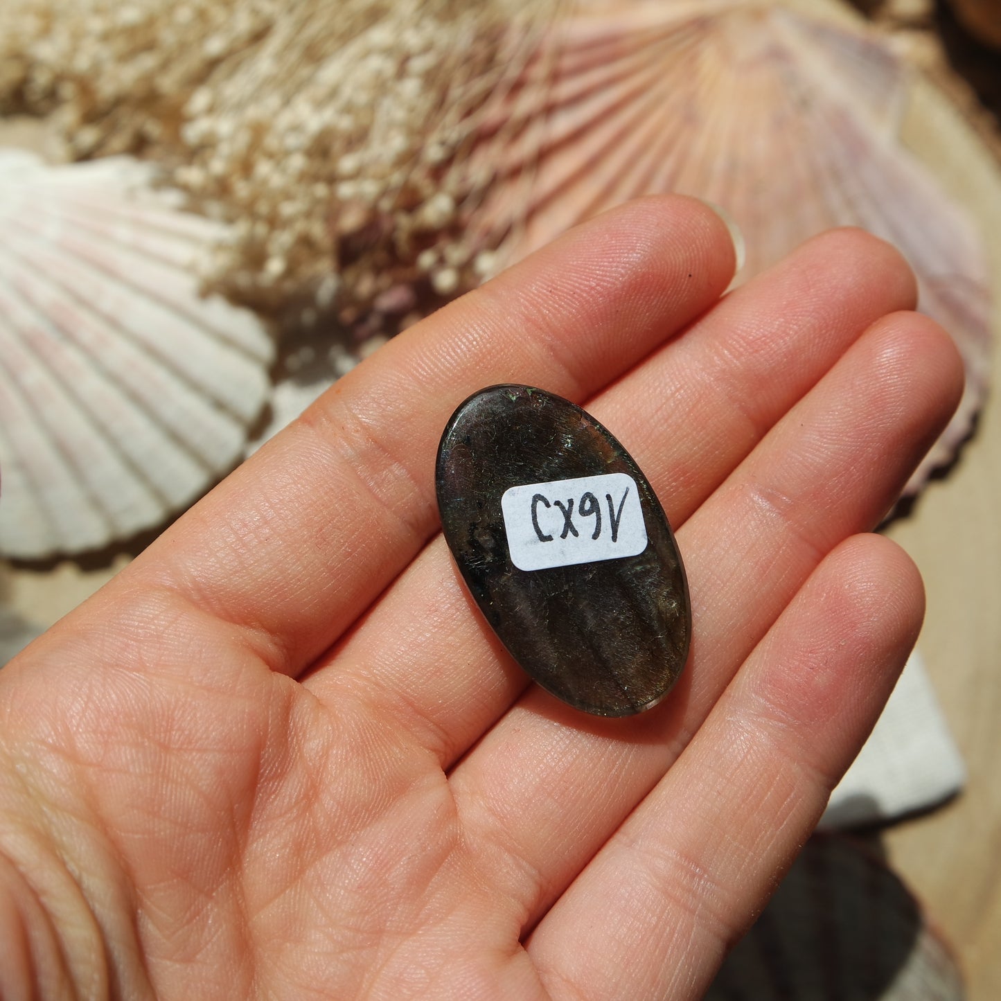 Labradorit Cabochon ~ 16Xj
