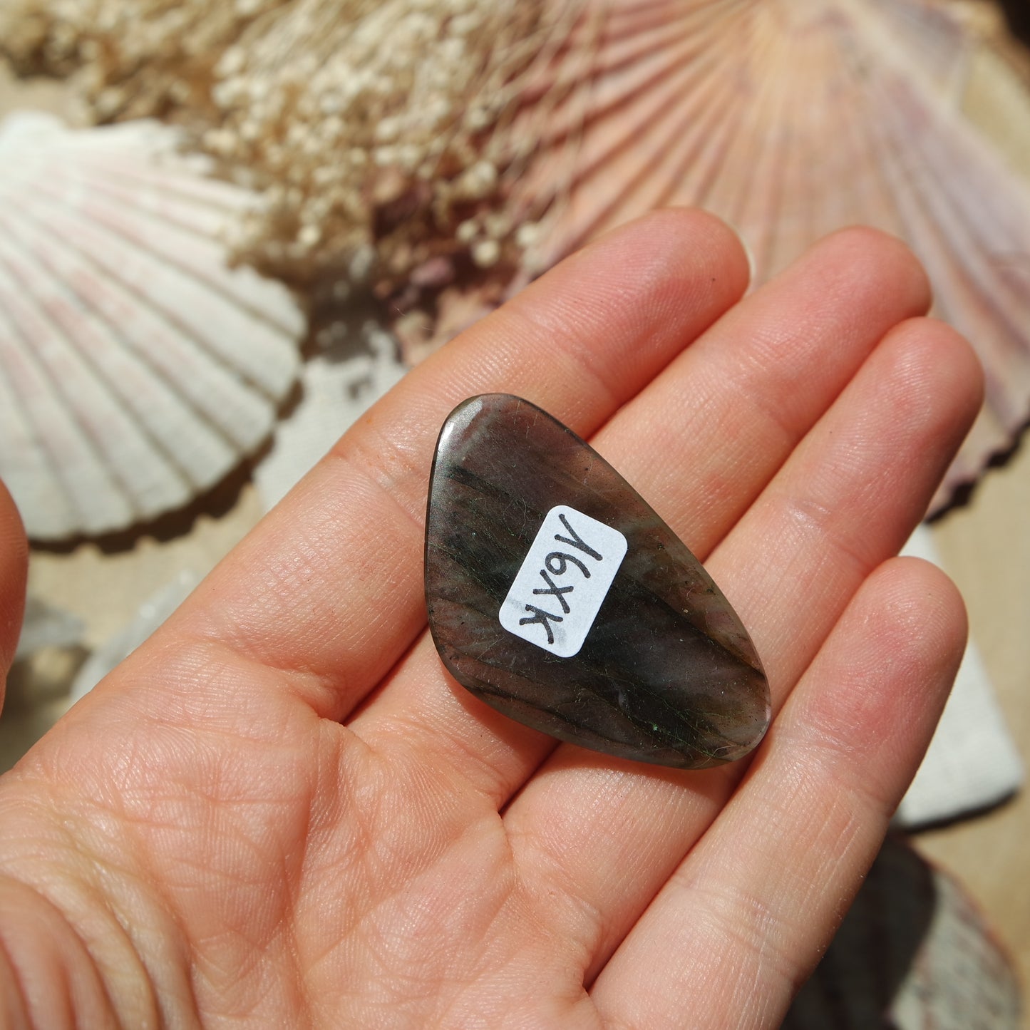 Labradorit Cabochon ~ 16XK
