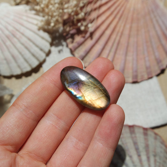 Labradorit Cabochon ~ 16XL