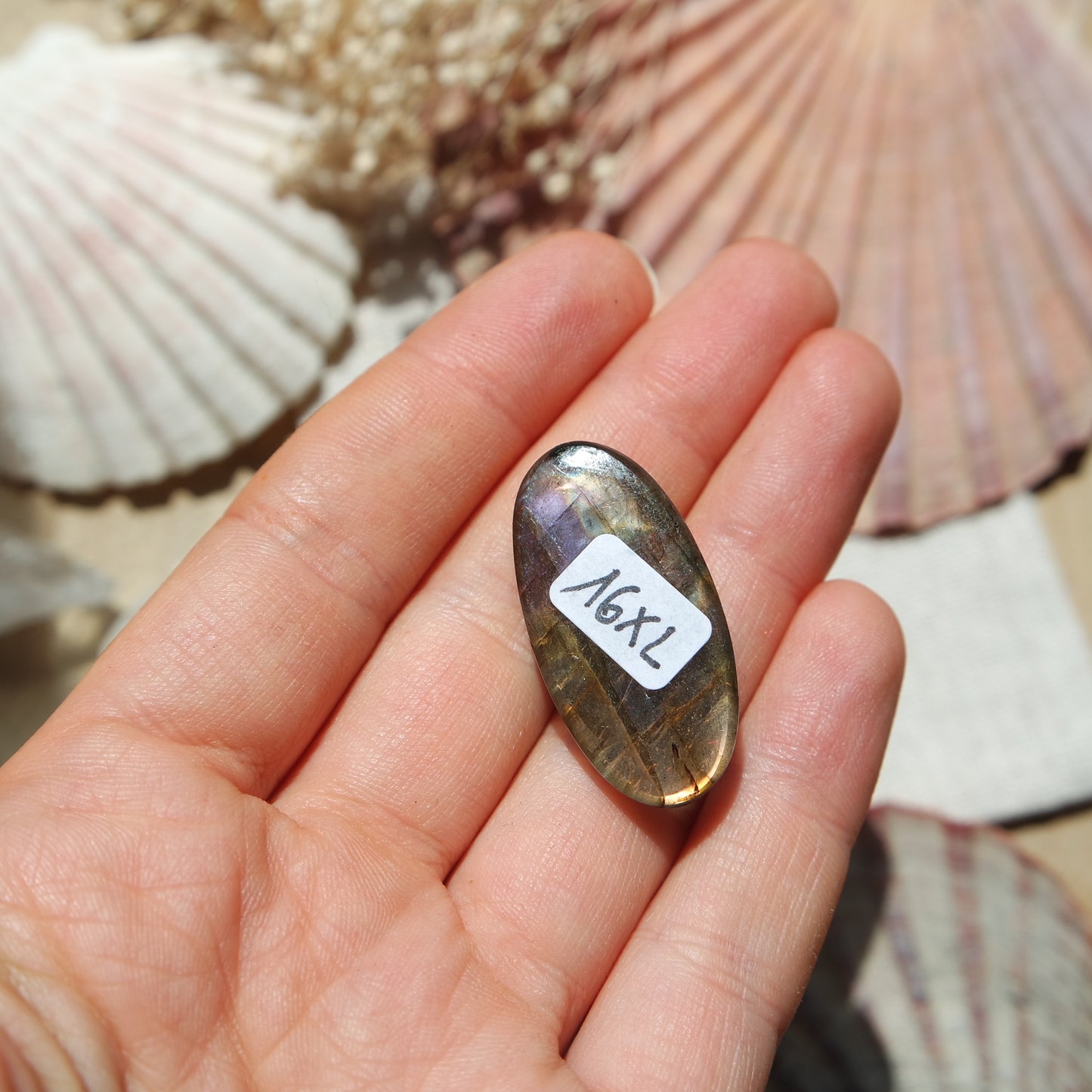 Labradorit Cabochon ~ 16XL
