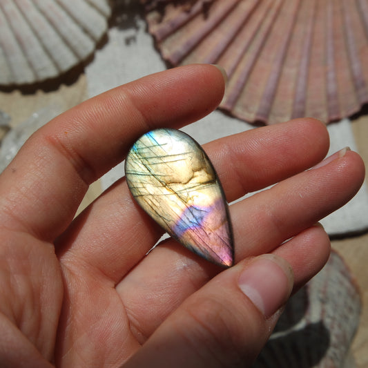 Labradorit Cabochon ~ 16XN