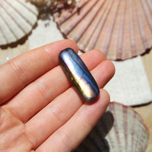 Labradorit Cabochon ~ 16XP