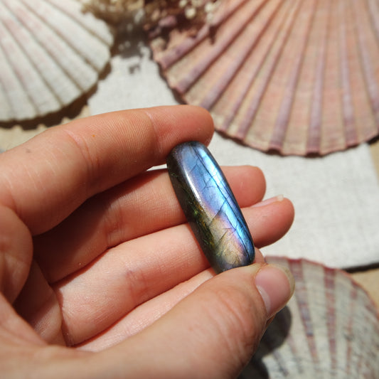 Labradorit Cabochon ~ 16XP