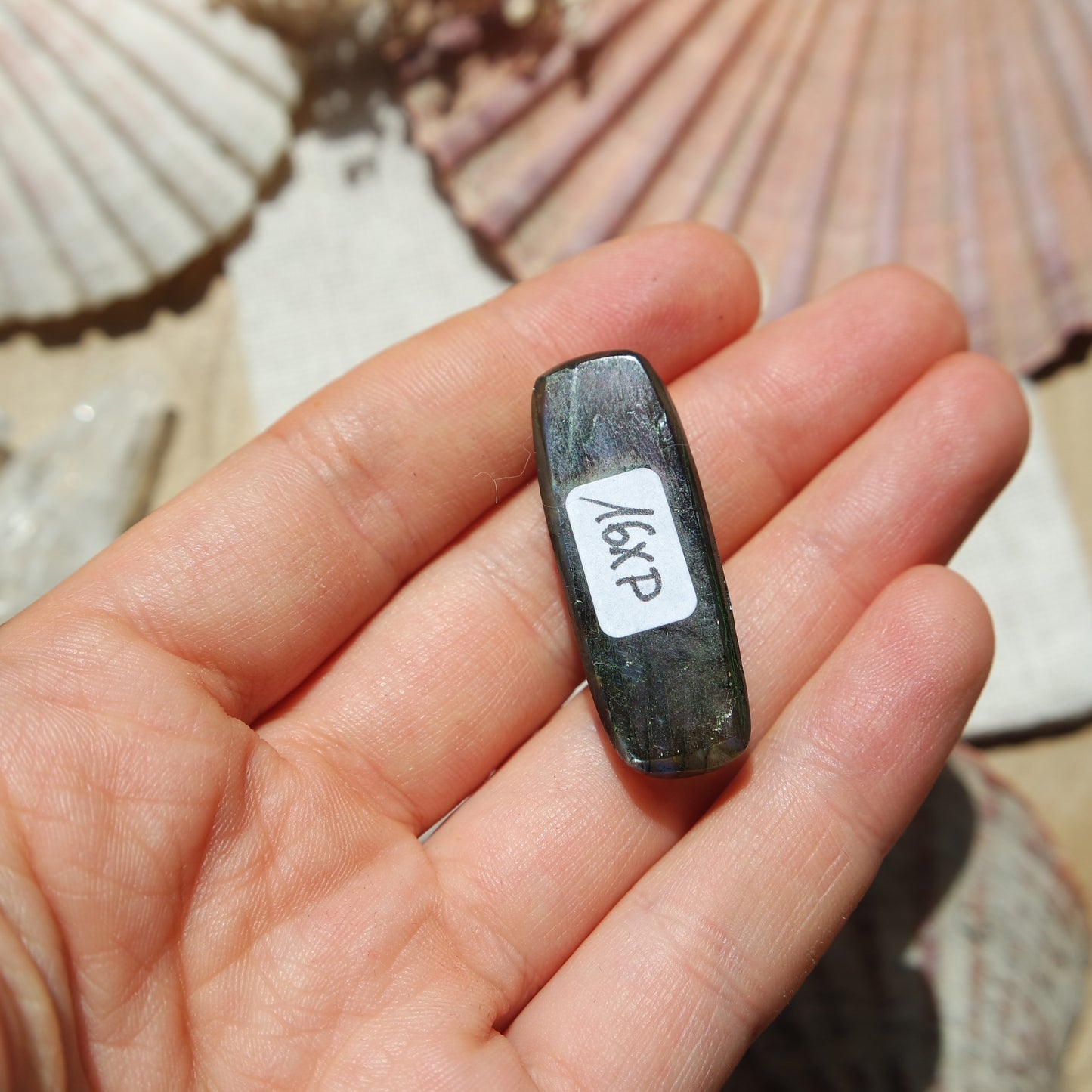 Labradorit Cabochon ~ 16XP
