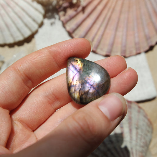 Labradorit Cabochon ~ 16XR