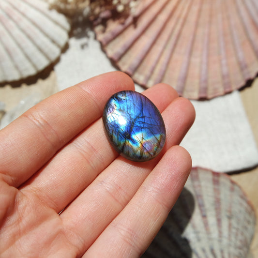 Labradorit Cabochon ~ 16XS