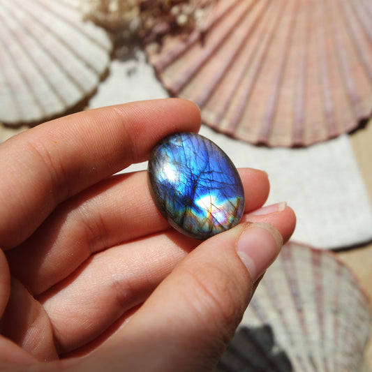 Labradorit Cabochon ~ 16XS