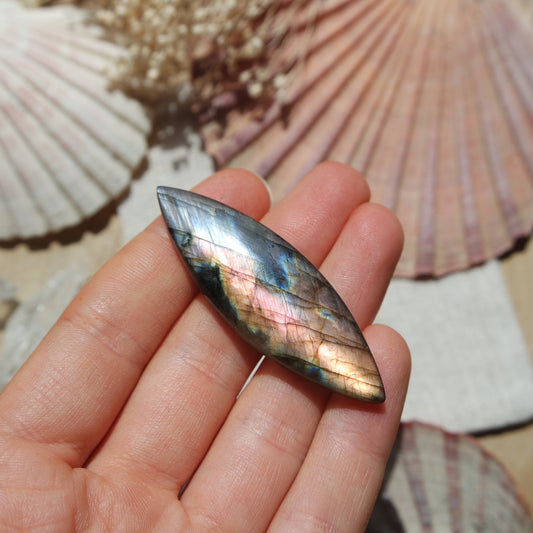 Labradorit Cabochon ~ 24XA