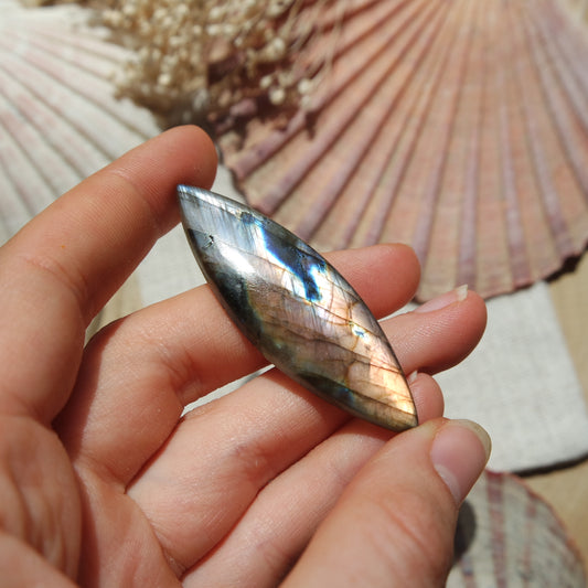 Labradorit Cabochon ~ 24XA