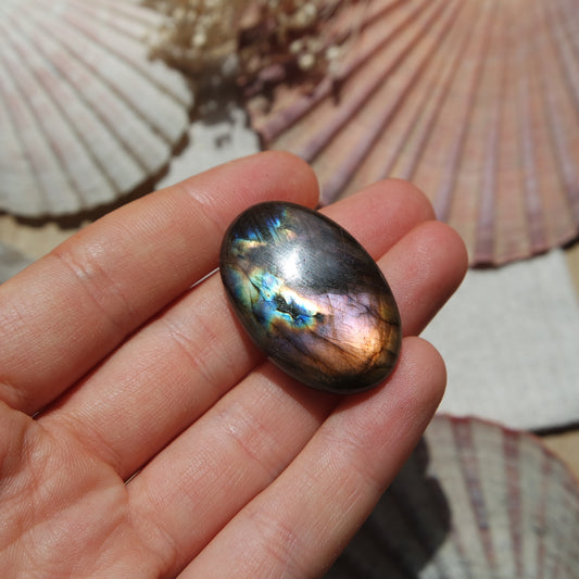 Labradorit Cabochon ~ 24XC